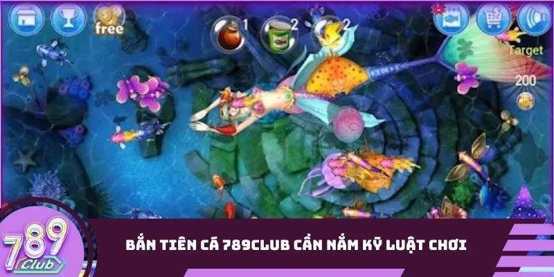 Chơi game này cần nắm kỹ luật chơi