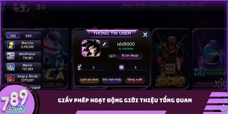 Giấy phép hoạt động giới thiệu tổng quan