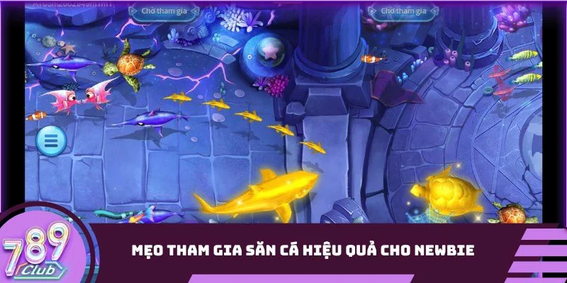 Mẹo tham gia săn cá hiệu quả cho newbie